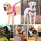 🔥 50 % Rabatt🐶🏆✨Robustes taktisches Hundegeschirr mit Griff🐕