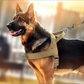 🔥 50 % Rabatt🐶🏆✨Robustes taktisches Hundegeschirr mit Griff🐕