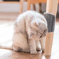 📢📢Zeitlich begrenztes Sonderangebot： 1+1 GRATIS!⏰Katzenmassagebürste mit Ecke