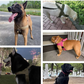 🔥 50 % Rabatt🐶🏆✨Robustes taktisches Hundegeschirr mit Griff🐕