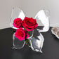 ✨ JETZT 50 % RABATT! !✨🦋 Transparente Schmetterling Glasvase ✨ Zauberhafte Deko