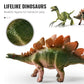 📢📢50% Rabatt  !!⏰🦖🎓 Lustiges & pädagogisches Dinosaurier-Spielzeugset für Kinder – fördert Kreativität & Wissen