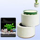 Aquatic Plant Holder Ring Set