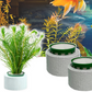 Aquatic Plant Holder Ring Set