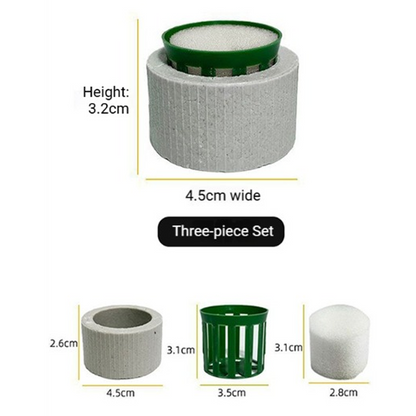 Aquatic Plant Holder Ring Set