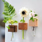 📢📢50 % Rabatt!! ⏰Magnetische Holzvase mit Reagenzglas