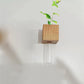 📢📢50 % Rabatt!! ⏰Magnetische Holzvase mit Reagenzglas