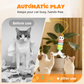 🐈🪀50% RABATT!🎐 Automatisches einziehbares Spielzeug für Katzen💡