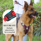 📢📢40 % RABATT !! ⏰Hundegeschirr ohne Zugkraft mit Leine und Halsband mit LED