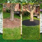 📢📢40% RABATT !!⏰Schwarze PE-Gartenkante – flexibler Rasen- & Beetbegrenzer aus hochdichtem Kunststoff, wetterfest & einfach zu verlegen