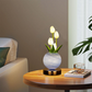 🌷JETZT 50 % RABATT!! 🌸 Elegante Tulpenstrauß-Nachtlampe – Romantische Blumenlampe, Schlafzimmer Deko Nachtlicht