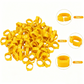 📢📢50% Rabatt  !!⏰Verstellbare Schnappverschluss-Beinbänder für Geflügel
