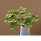 🏺🌸 Everlasting Ceramic Floral Decoration – 📢📢50% Rabatt  !!⏰Blütenpracht aus Keramik – ewig schön, nie verwelkt. 🔥✨