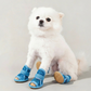 🔥 Letzter Tag Sonderpreis💥⚡Leichte, rutschfeste Hundeschuhe aus Mesh ☀️🐶 | Für Innen- und Außenbereich sowie jedes Gelände geeignet🐾