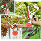 🍇 50% RABATT! ✂️ Reb- & Pflanzenbinder für Obstbäume, Wein & Gemüse – Handliches Bindegerät für Gewächshaus & Garten – Spart Zeit & Material – ideal für Tomaten, Weinreben oder Kletterpflanzen 🌿