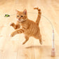 ✨🎁Interaktives Katzenspielzeug mit Saugnapf und Angelrute