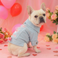 Niedliche Jeansjacke für Hunde im Prinzessinnen-Stil