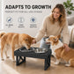 Elevated Dog Bowls with Slow Feeder & Stainless Steel Bowls