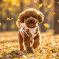 Cute Plush-Lined Pet Vest