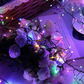 Weihnachts-Fensterdeko-Lichter