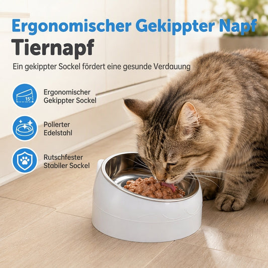 📢📢JETZT 50 % RABATT!! ⏰Edelstahl-Futternapf im niedlichen Katzen-Design – Ergonomischer 2-in-1 Napf für Katzen & kleine Hunde ✨