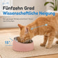 📢📢JETZT 50 % RABATT!! ⏰Edelstahl-Futternapf im niedlichen Katzen-Design – Ergonomischer 2-in-1 Napf für Katzen & kleine Hunde ✨