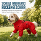 ⏳Begrenzte Zeit 50% Rabatt💥Leichter wasserabweisender vierbeiniger Hundemantel – reflektierend, mit Leinenbefestigung, für kleine und große Hunde