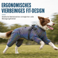 ⏳Begrenzte Zeit 50% Rabatt💥Leichter wasserabweisender vierbeiniger Hundemantel – reflektierend, mit Leinenbefestigung, für kleine und große Hunde
